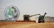 64 zł za godzinę dla Polaków za ciężką fizyczną pracę w Holandii. Są chętni?