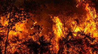 Naukowcy biją na alarm. Mówią o 451 tys. zgonów w sześć miesięcy