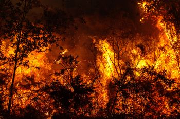 Naukowcy biją na alarm. Mówią o 451 tys. zgonów w sześć miesięcy
