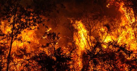 Naukowcy biją na alarm. Mówią o 451 tys. zgonów w sześć miesięcy