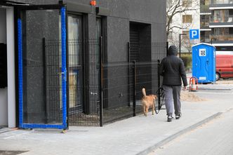 "Patoogródek"? Skrawek ziemi przed blokiem. Pytają, co inwestor miał na myśli