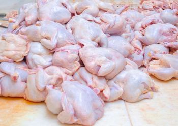 Unikaj tych części kurczaka. Gromadzą się w nich pasożyty