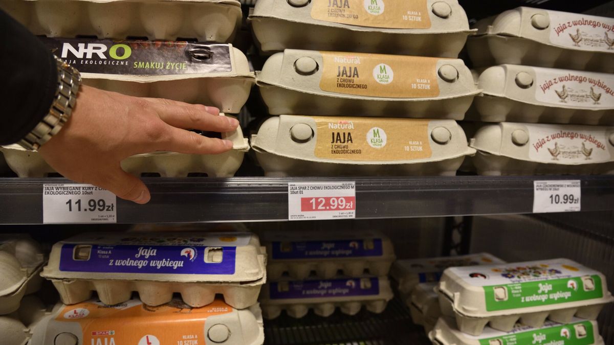East News archiwum
Fot. Bartlomiej Magierowski/EastNews. Wroclaw 25.10.2022. Supermarket Eurospar w galerii handlowej Sky Tower. N/z: wysokie ceny jajek.
Bartlomiej Magierowski