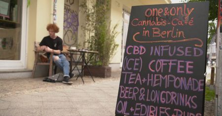 Komisja Europejska wznawia prace nad kannabidiolem