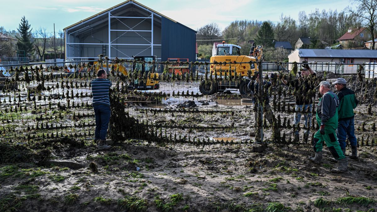Zniszczenia po nawałnicy w Pawłosiowie na Podkarpaciu