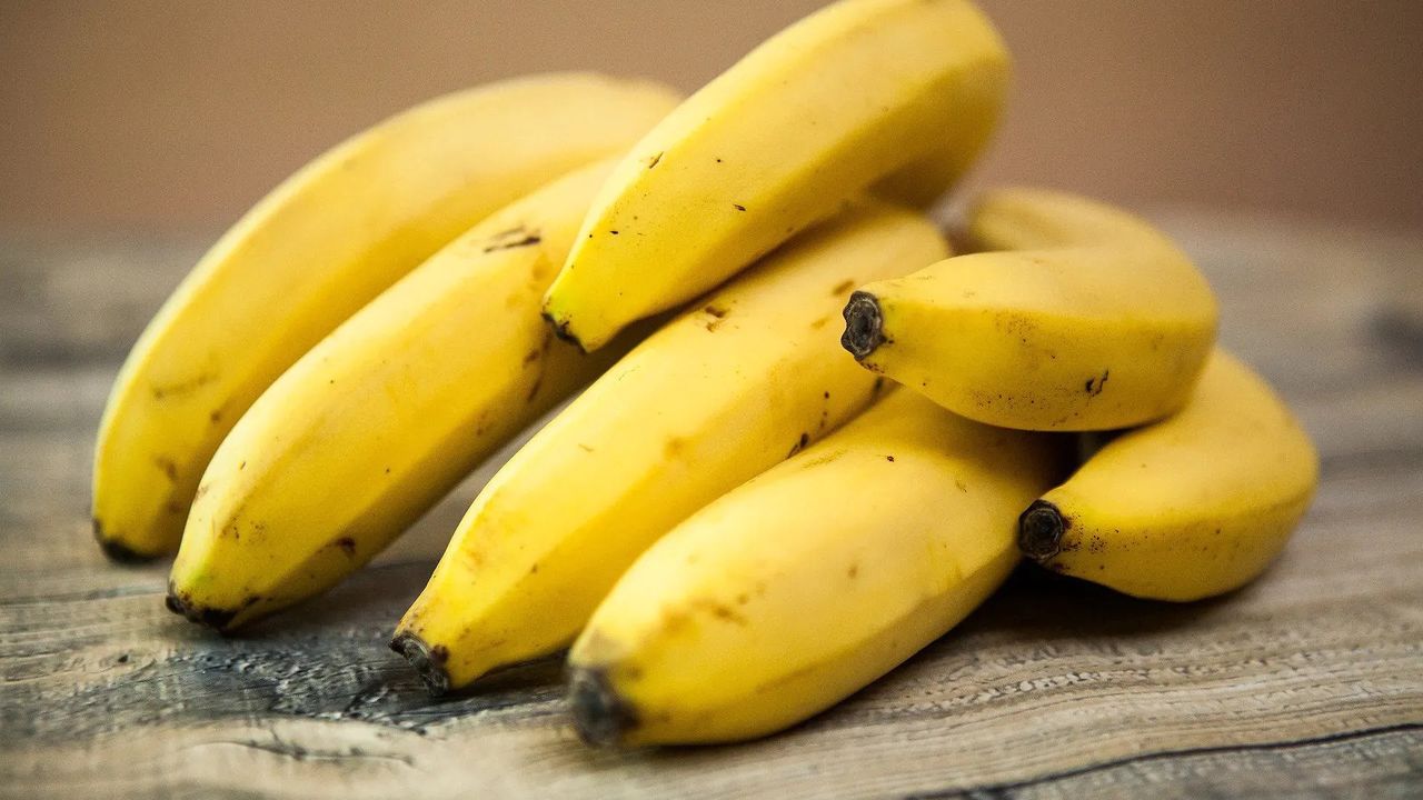 Skalbmierz: Bananowce rosną w gminie. Egzotyka tuż przed domem