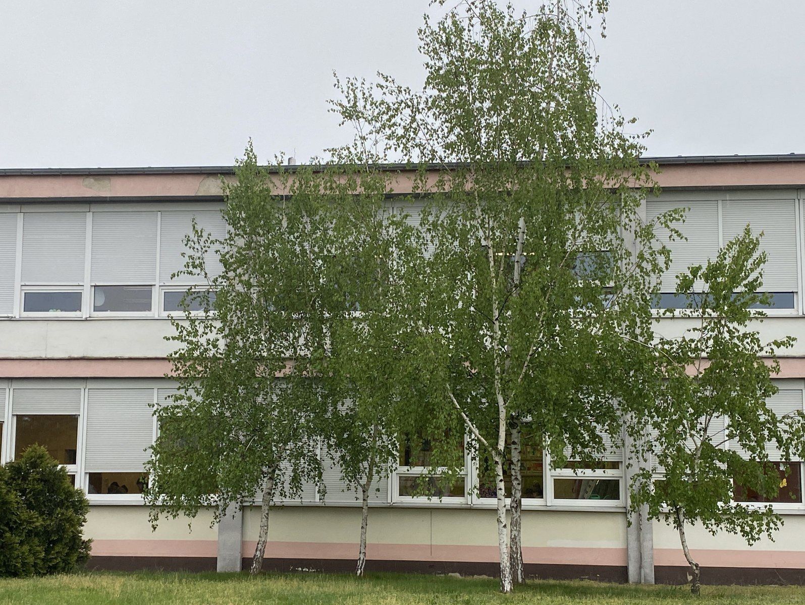 SP9 w Lesznie