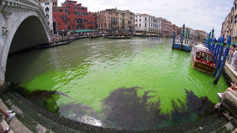 Co oznacza zielona woda w Canale Grande?