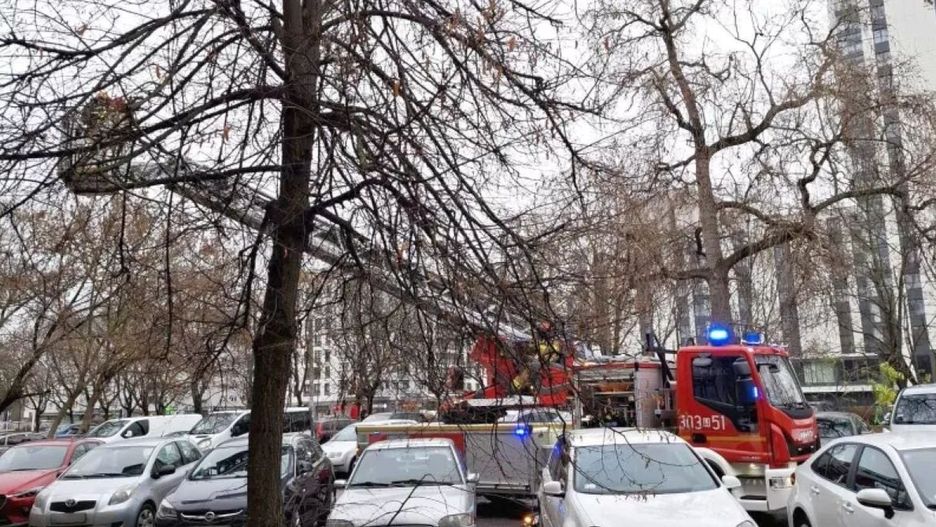 źródło: Straż Miejska m.st Warszawy