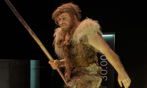 Neandertalska tajemnica. Ślady kanibalizmu wskazują na jedną grupę
