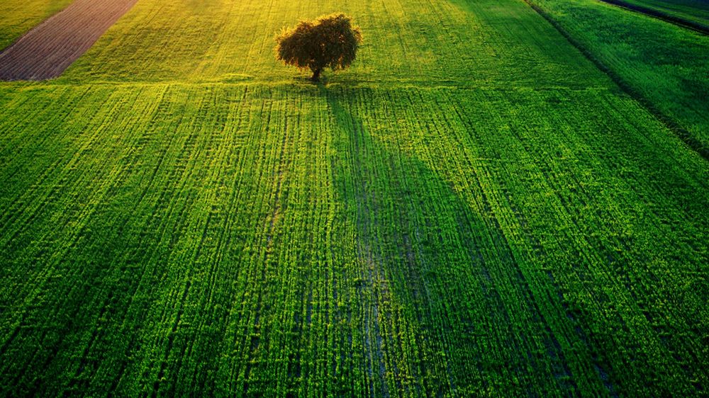 Kolorowe zdjęcie na jesienne szarości - znamy zwycięzcę konkursu [aktualizacja] 1