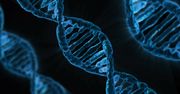 Koronawirus i zamknięte szkoły. Sprawdź, ile pamiętasz z lekcji biologii. Poziom 8. klasy podstawówki