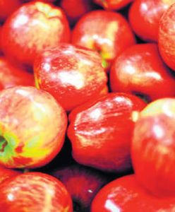 Wyjątkowy urodzaj obniży ceny w sklepach