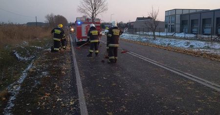 Z tira wysypała się cebula. Kierowcy zatrzymywali się i zbierali ją z jezdni
