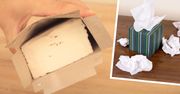 Rozerwała pudełko chusteczek, aby włożyć tam tą jedną rzecz. Zyskały nowe właściwości