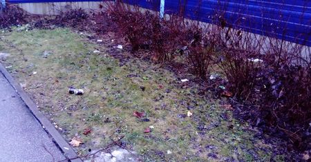 Stopniał śnieg, Warszawa wygląda jak śmietnisko. "Ekipa sprzątająca ma urlop?"
