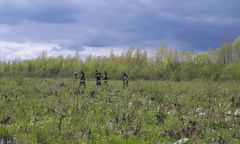 Wągrodno: 71-latka przysypana żywcem. Są wyniki sekcji zwłok