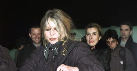 Brigitte Bardot została pozwana za rasistowskie słowa