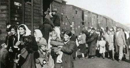 Były śliczne i bezbronne, próbowały uciec śmierci. Do dziś leżą przy torach