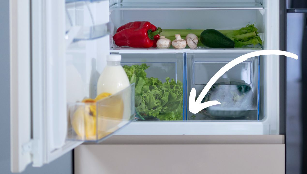 Włóż na dno szuflady, a warzywa przechowywane w lodówce dłużej zachowują świeżość