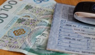 OC tańsze niż miesiąc temu