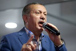 Wolność słowa po turecku. Artystka skazana za obrazę Erdogana