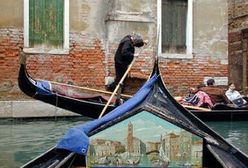 Zakaz śpiewania w weneckich gondolach