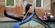 Zakaz śpiewania w weneckich gondolach