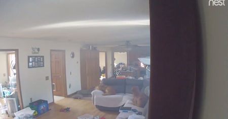 Zostawili psy same w domu. To, co zrobiły mogło skończyć się tragicznie