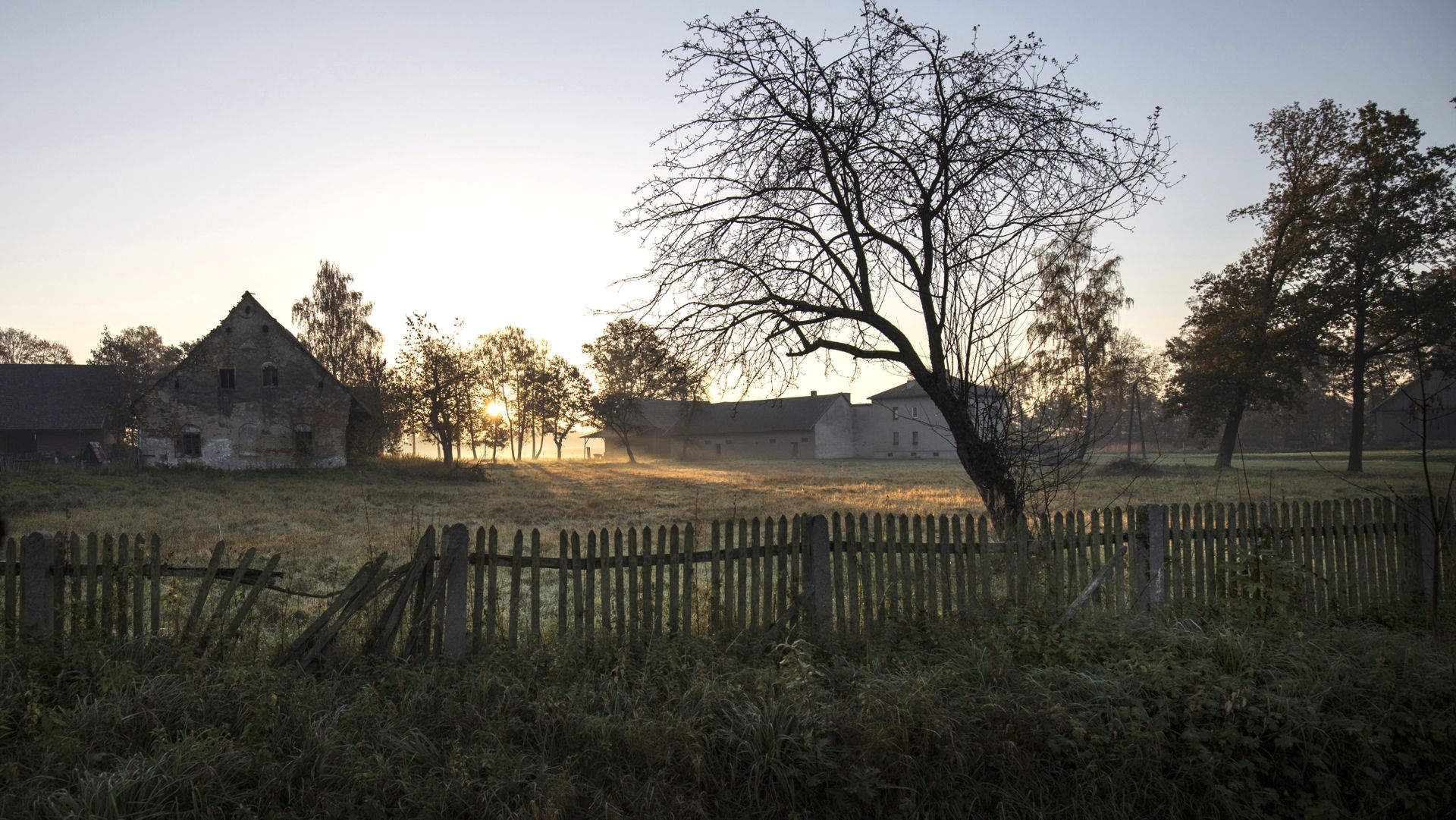 Jeden z Domów Bezdomnych, opisanych przez Dorotę Brauntsch