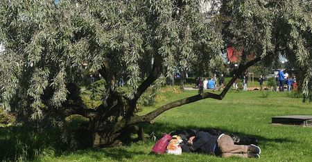 Chcieli go deportować za kradzież. Polak dostał duże odszkodowanie