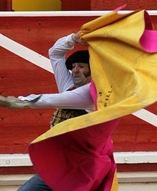 Byk ranił torreadora