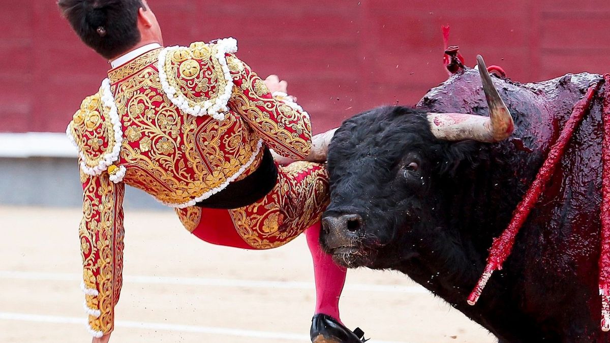 hiszpania madryt matador