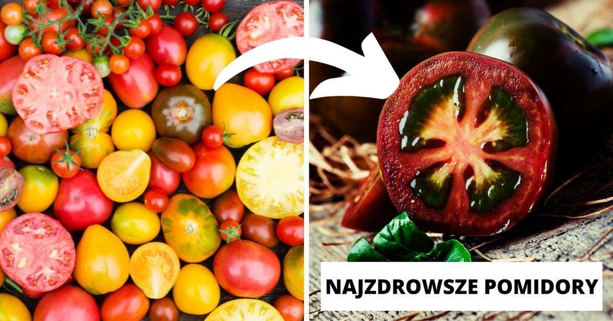 Jaka jest najzdrowsza odmiana pomidorów? Nie każdy wie o jej istnieniu