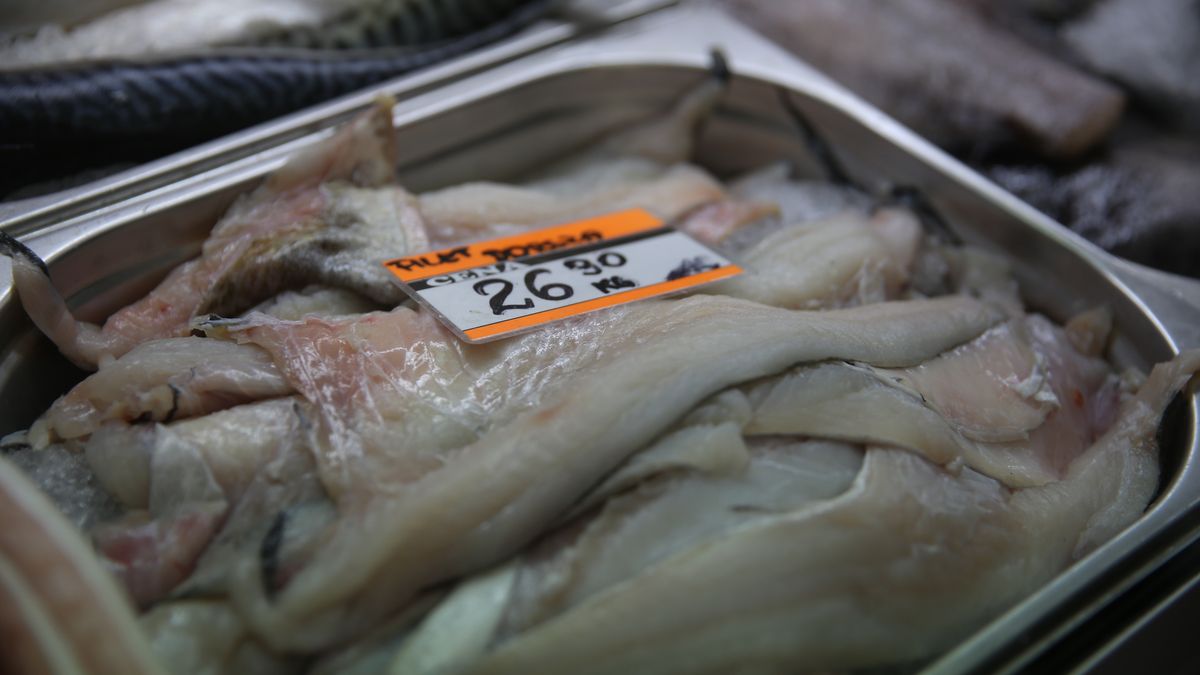 Dorsz bałtycki może wyginąć.