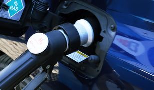 Polscy studenci budują auto napędzane wodorem