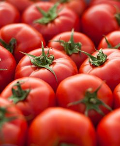 Najtrudniejszy quiz o pomidorach. Sprawdź swoją wiedzę