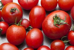 Pomidory - jak wybrać najlepsze i kiedy są trujące?