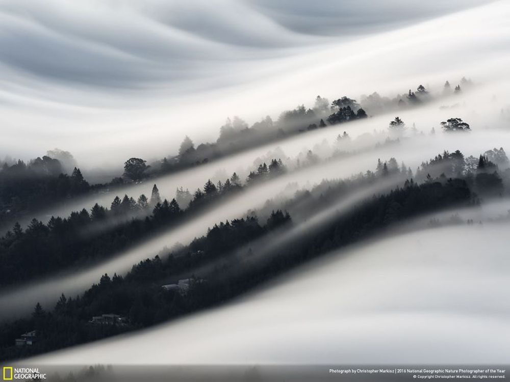Fotografie natury, która nie przestaje zachwycać. Oto finałowe prace konkursu National Geographic Nature Photographer of the Year 2016 13