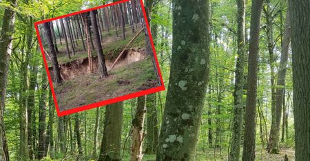 Zakaz wstępu. Ogromne zapadlisko w lesie