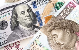 Mocny złoty to szansa na spory zysk. Co można kupić taniej?