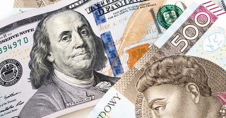 Mocny złoty to szansa na spory zysk. Co można kupić taniej?