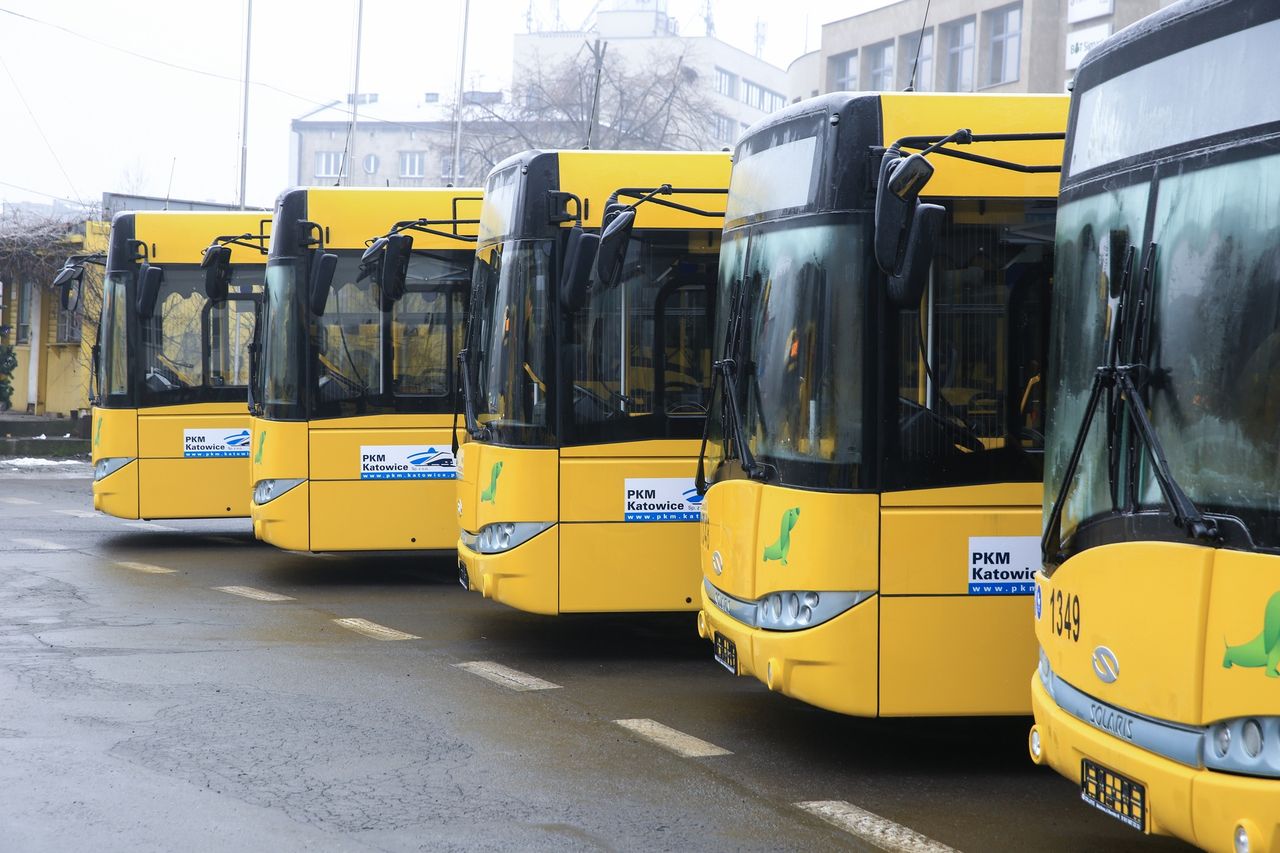 Wiceprezes i dyrektor handlowy Solarisa zatrzymani. W tle łapówki i wyprowadzanie pieniędzy