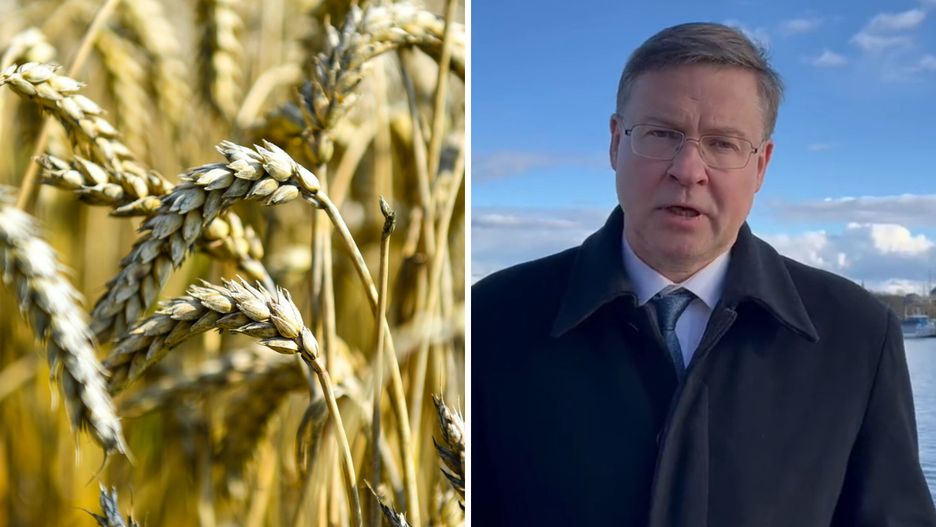 Jest porozumienie ws. importu z Ukrainy