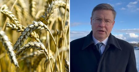Przełom ws. produktów z Ukrainy? Jest głos z KE