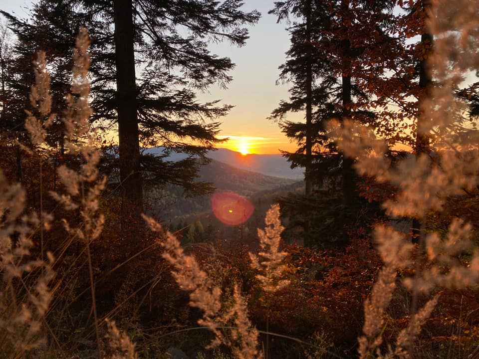 Piękno polskiej jesieni na zdjęciach naszych czytelników. W tym roku jest wyjątkowa! 12