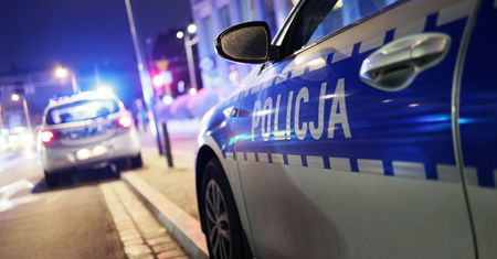 Mysłowice: Groźne zdarzenie na ulicy Gagarina. BMW zderzyło się z przebiegającą drogę sarną. Na miejscu trwają policyjne czynności
