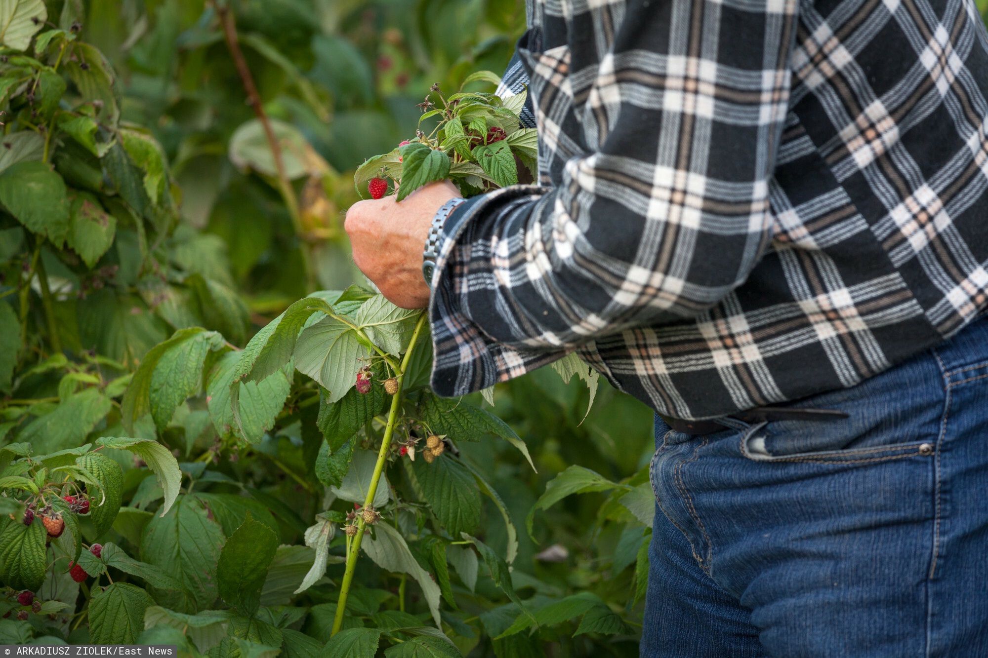 Wraca temat zmowy cenowej 