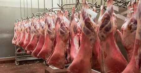 Uważaj na witaminę B12. To powszechne przekonanie, ale błędne