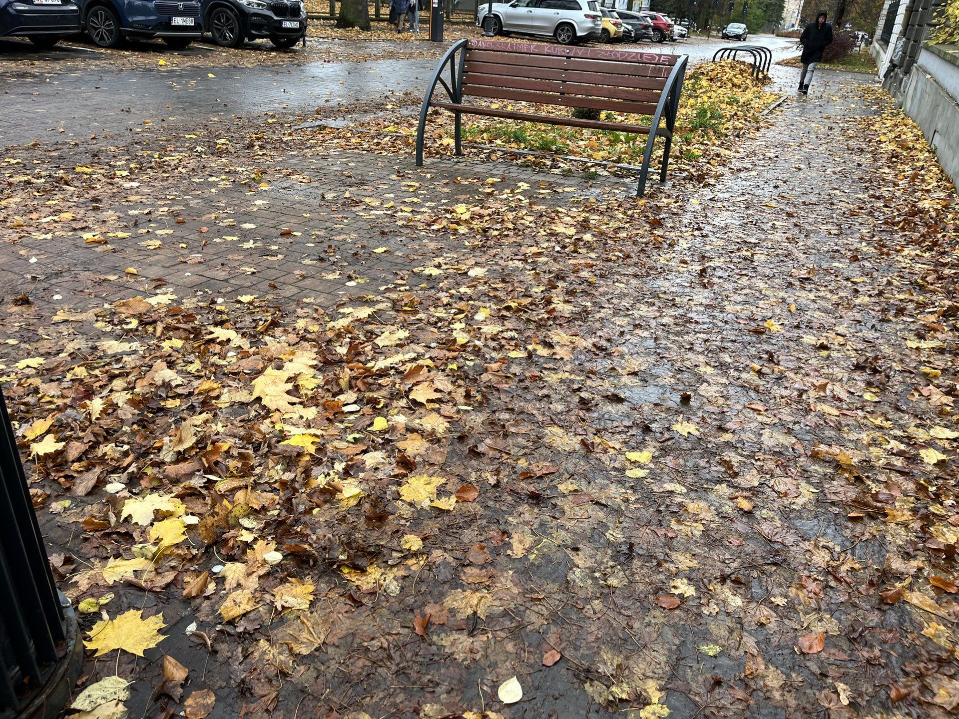 Liście na chodnikach w Łodzi